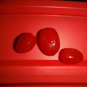 21st Mar 2022 - Red Tomatoes on a Red Lid