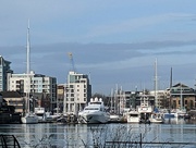 17th Mar 2022 - New Dockland 