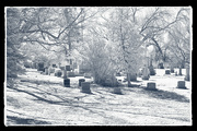 21st Mar 2022 - Spring Day at the Cemetery