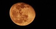 21st Mar 2022 - Last Night's Moon!