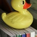 duck by edorreandresen