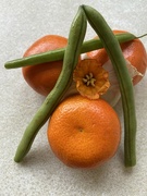 22nd Mar 2022 - Orange vegetable