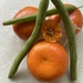 Orange vegetable by hoopydoo
