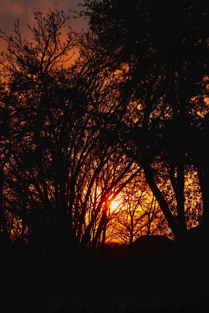 A fiery sunset by louannwarren