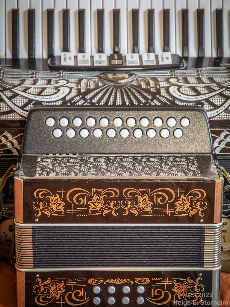 Squeezeboxes by helstor365