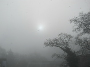18th Mar 2022 - Strange foggy start to the day