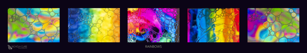 Rainbows by nickspicsnz