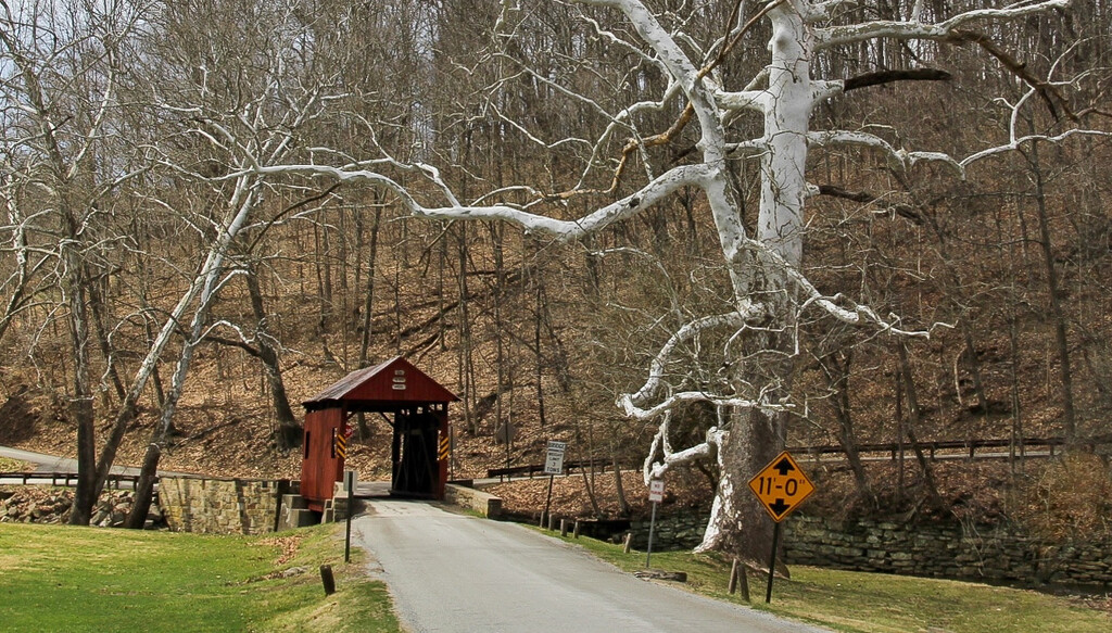 Covered bridge by mittens