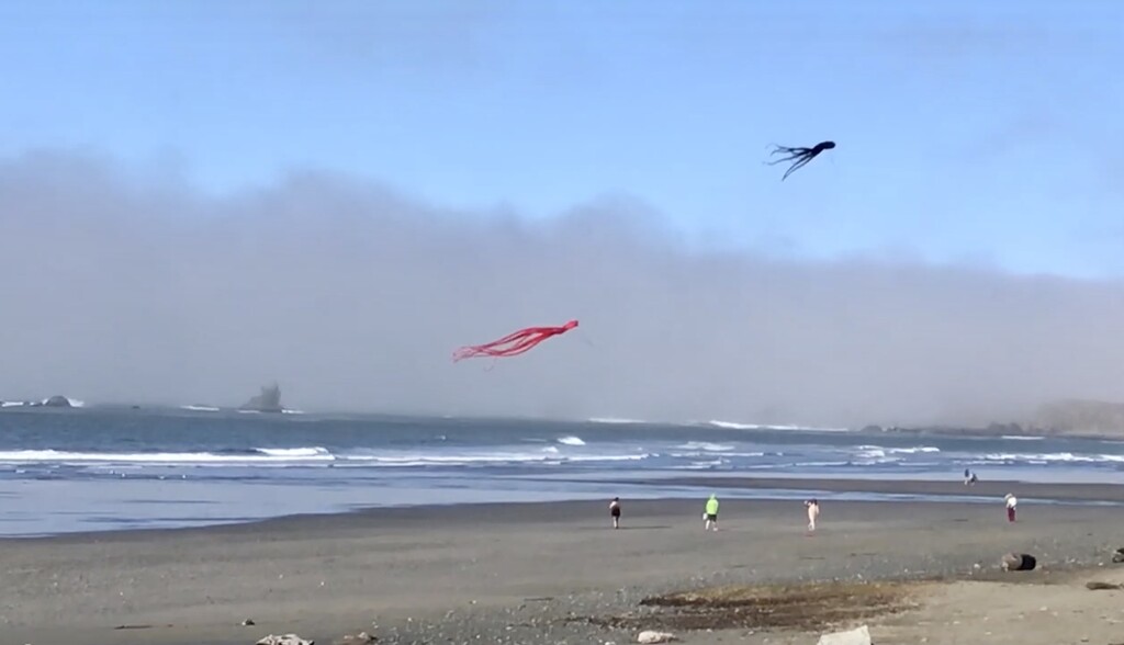 A kite tail by pandorasecho