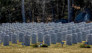 23rd Mar 2022 - Southern Maine Veteran's Cemetery 