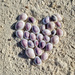 Heart of shells.   by cocobella