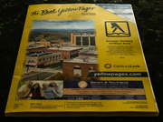 23rd Mar 2022 - The real yellow pages