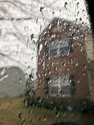 16th Mar 2022 - It's raining, it's pouring!