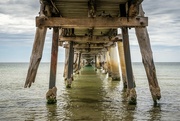 24th Mar 2022 - Under the jetty