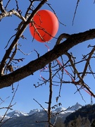 24th Mar 2022 - The red balloon and the mountains 