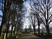 23rd Mar 2022 - Another Cemetery Snap 
