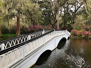 24th Mar 2022 - The Long White Bridge, Magnolia Gardens