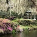 Gazebo and Spanish moss, Magnolia Gardens by congaree