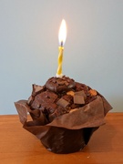 21st Mar 2022 - So..I have completed a year of the project. A chocolate muffin to celebrate 