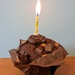 So..I have completed a year of the project. A chocolate muffin to celebrate  by yorkshirelady