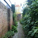 A small alley. by pyrrhula