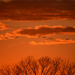 Amalgam of Geese, Clouds, Sunset  by kareenking