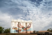25th Mar 2022 - Painted silo