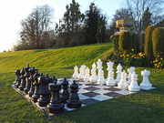 19th Mar 2022 - Anyone for chess?