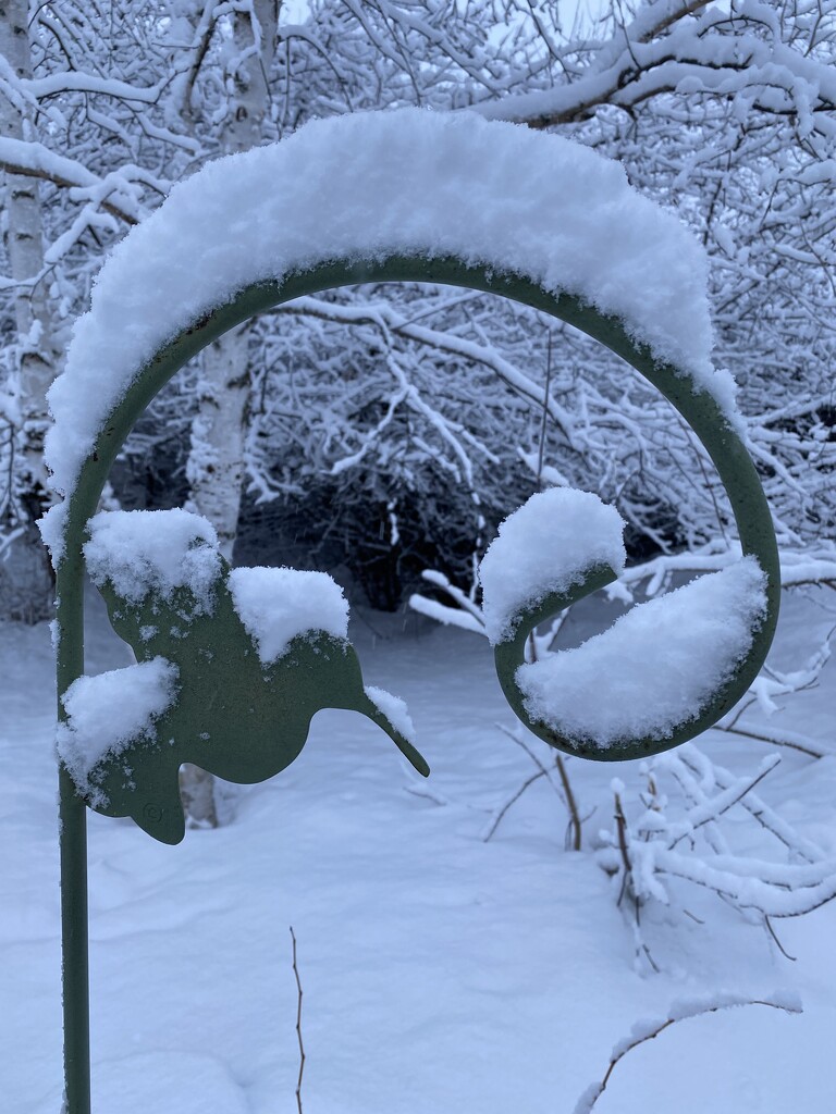 Snowy Plant holder  by radiogirl