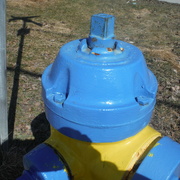25th Mar 2022 - Blue Fire Hydrant Top