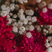 Flowers are so pretty by mistyhammond
