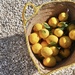 Sooooo many lemons  by beverley365