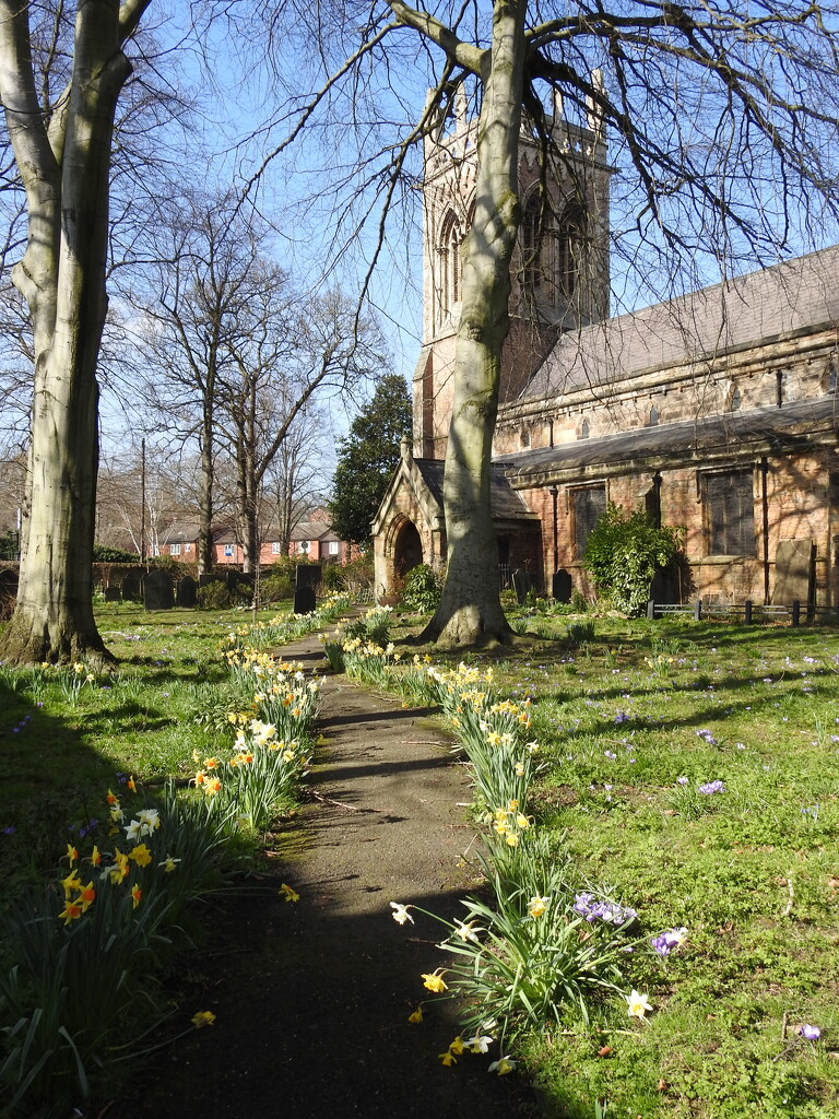 Spring in the Churchyard  by oldjosh
