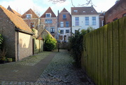 25th Mar 2022 - View on the houses bum side 