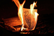 25th Mar 2022 - Burning Hound Dragon