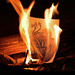 Burning Hound Dragon by metzpah