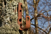 26th Mar 2022 - rust and lichen