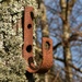rust and lichen by christophercox
