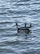 26th Mar 2022 - Another Trolly in the water.