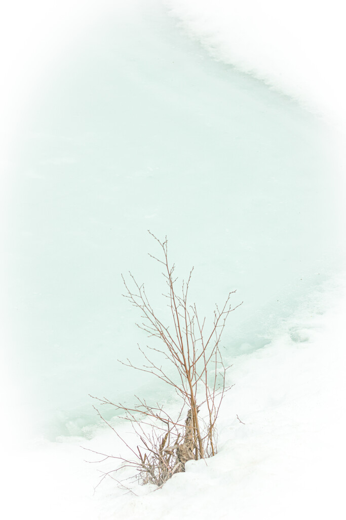 Spring Thaw by 365karly1