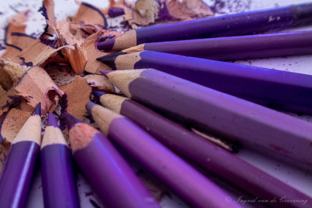 Purple pencils by ingrid01