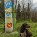 Peace pup by laroque