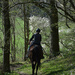 I miss horse-riding! by parisouailleurs