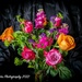 Mothers Day Flowers by nigelrogers