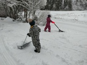 4th Jan 2022 - Sisu and Mimi working with snow