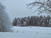 3rd Jan 2022 - Snow on Kettulankuja