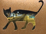 7th Jan 2022 - A cat and Kerava Railway station