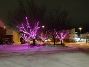 8th Jan 2022 - Pink lights on Papintie street
