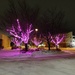 Pink lights on Papintie street by annelis