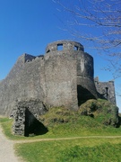 16th Mar 2022 - Dinefwr Park and Castle